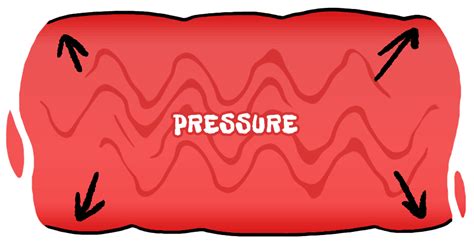 035 12 Pressure Blood Vessels Animation The Big Generation