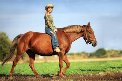 Wanita Berkuda Di Pedesaan Foto Stok Unduh Gambar Sekarang Alam