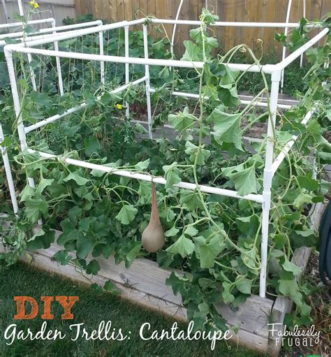 Www.pinterest.com a garden teepee made of … DIY Garden Trellis! (Part 2)