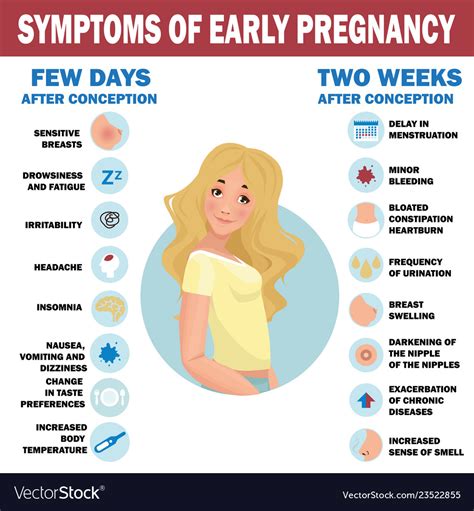 Symptoms Early Pregnancy Detailed Infographic Vector Image