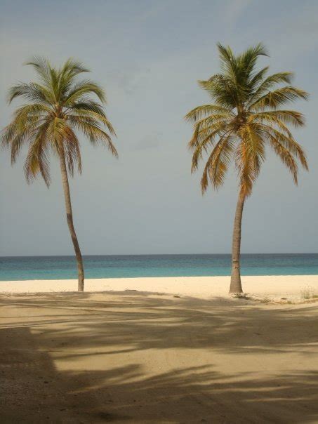 Oranjestad Aruba My Personal Paradise The Wander Life