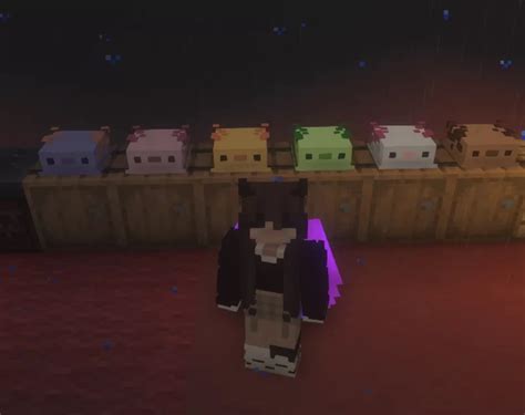 Axolotl Hats Minecraft Texture Pack