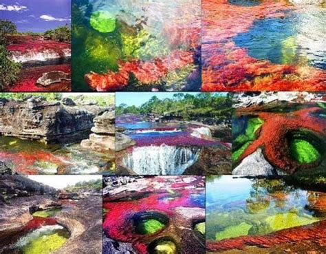 The River That Ran Away From Paradise Cano Cristales ⋆ Mysterious Facts