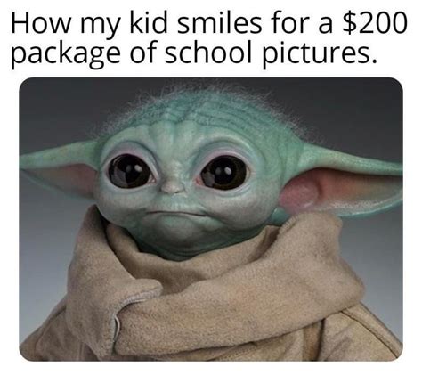 Pin By Leslie Anderson On Baby Yoda In 2020 Yoda Meme Cute Memes