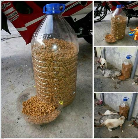 Cara Nak Buat Sendiri Bekas Makanan Untuk Kucing Kucing Jalanan