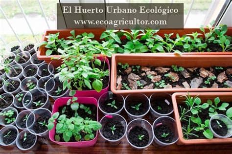 Si es pequeño el espacio del 1 primero escoge la situación de tu huerto ecológico en casa. Cómo montar un huerto urbano ecológico en tu terraza ...