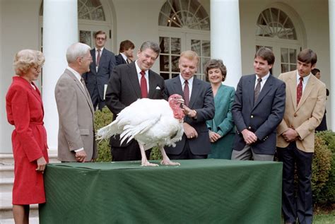 presidential turkey pardons through the years new york daily news