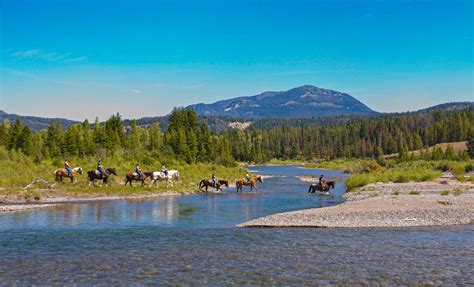 Jackson Hole Horseback Rides Yellowstone Outfitters