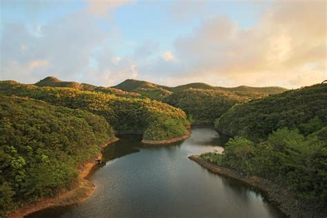 Yanbaru Forest Okinawa Nature Photography The Yanbaru For Flickr
