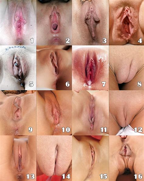See And Save As Whats Your Favorite Type Of Pussy Porn Pict 4crot Com