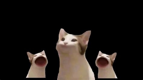 Download Cursed Cat Pictures