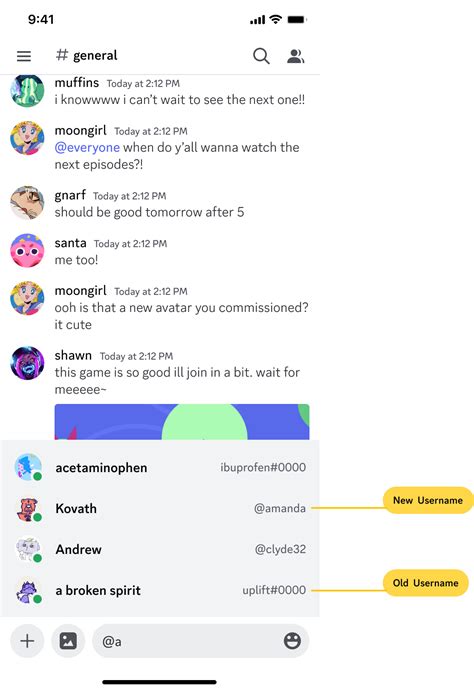 New Usernames And Display Names Discord