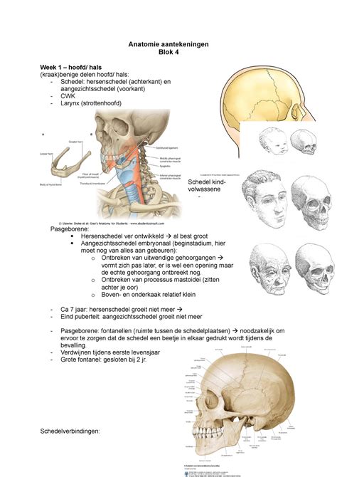 Samenvatting Anatomie Hoofdhals Anatomie Aantekeningen Blok 4 Week 1