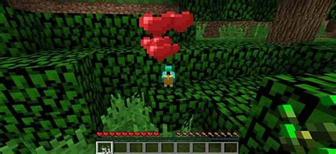 Complete Guide To Tame A Minecraft Parrot Brightchamps Blog