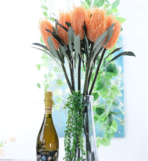 Последние твиты от orange county fl (@orangecofl). Orange Native Flower 63cm