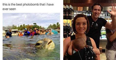 15 Of The Most Epic And Hilarious Photobombs The Internet Has Ever Seen