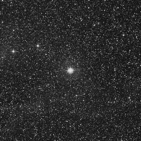 25 Cygni Star In Cygnus