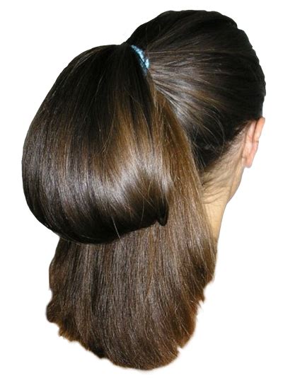 Girl Hair Brunette Ponytail Really Long 1 By Pngtransparency On