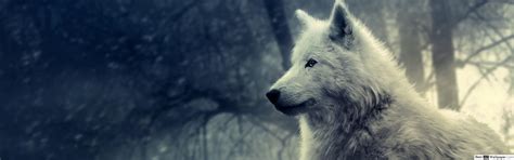 Dual Monitor Wolf Wallpapers Top Free Dual Monitor Wolf Backgrounds