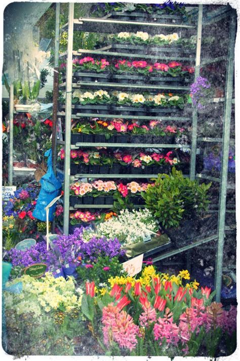 7 socialiniai puslapiai, įskaitant facebook ir twitter, valandos, telefonai, faksas, internetinė svetainė ir flowers bakery dirba šiose srityse: Columbia Road Flower Market, London / United Kingdom ...