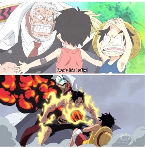Dont Hurt Luffy Hit Me Instead One Piece Memes