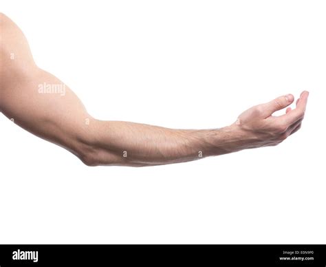 Man Arm Bent At An Elbow With Open Palm Facing Up Isolated On White