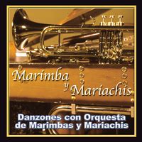 Danzones Con Orquesta De Marimbas Y Mariachismarimba Y Mariachis