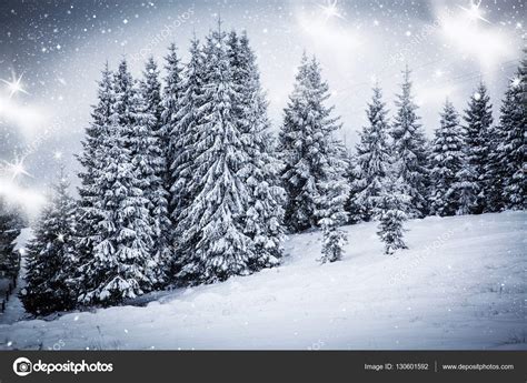 Christmas Background Of Snowy Winter Landscape With Snow Or Hoarfrost