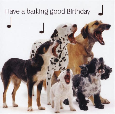 Birthday Quotes From Dogs Quotesgram