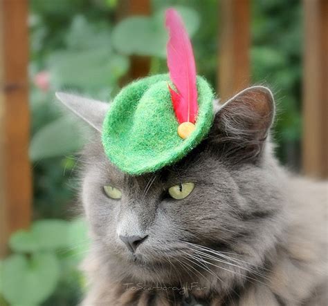 Colorful Cat Hats Give Your Cute Cat Some Style Bit Rebels