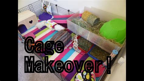 BEFORE AND AFTER Guinea Pig Cage Makeover And Haul Video YouTube