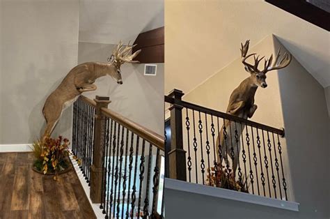 Texas Man Mounts Deer Like Its Jumping Over The Railing In His House