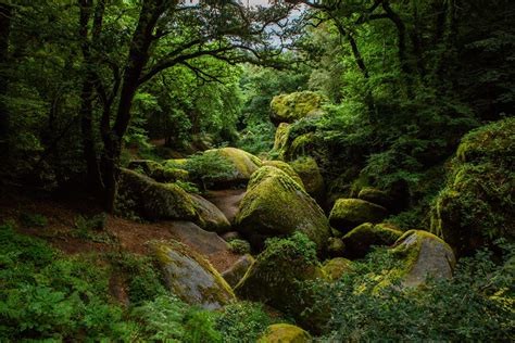 La Forêt De Huelgoat Bretagne