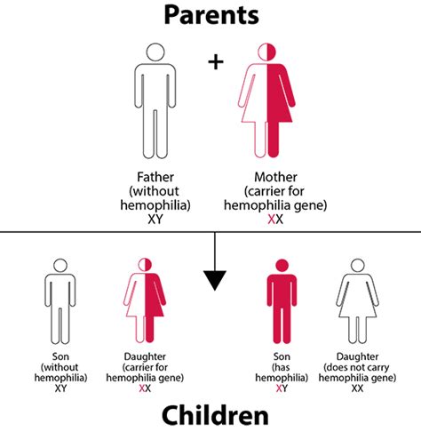 hemophilia inheritance patterns x chromosomes mutation