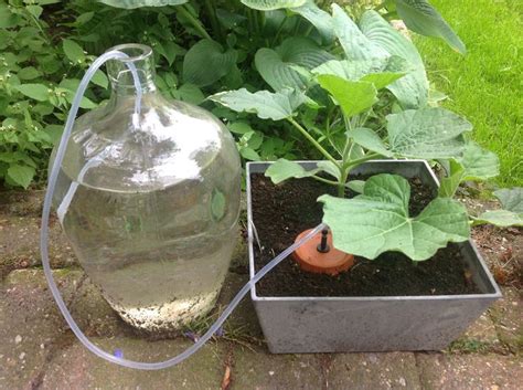 This paper presents a wireless irrigation system for a smart home garden that can be integrated with existing smart home control systems. Home made Olla pot Clay Pot Irrigation System info: www ...