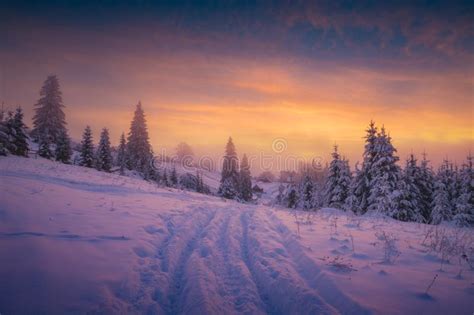 The Path On A Fresh Snow To The Mountain Village Stock