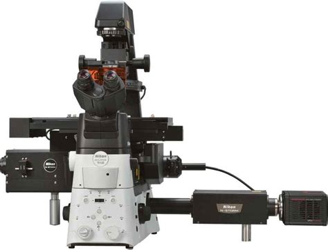 Super Resolution Microscopes Nikon Microscopy