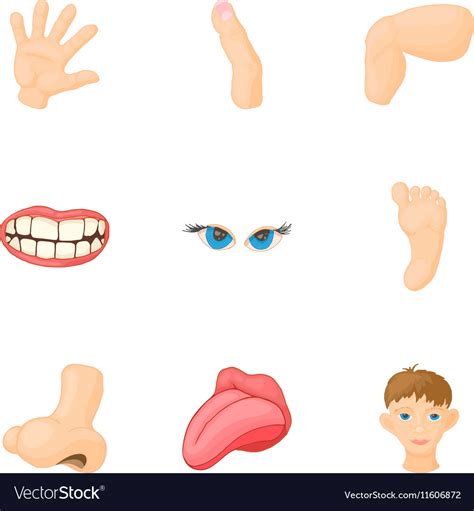 Body Parts Icons Set Cartoon Style Royalty Free Vector Image