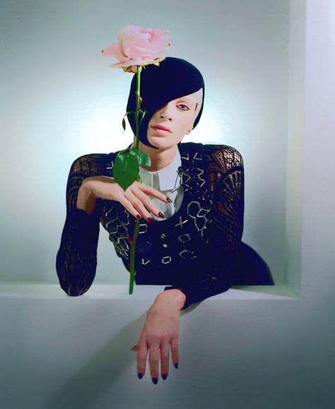 A Stalk Of Pink Rose Tim Walker Photography Tim Walker