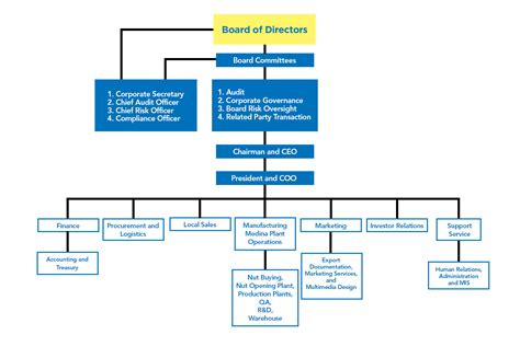 Ceo Accounting Department Organizational Chart Hohpawild