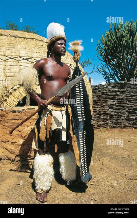 South Africa Qwazulu Young Zulu Warrior Stock Photo Alamy