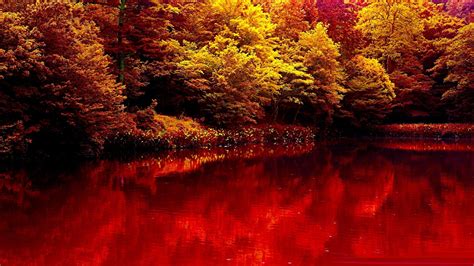 Nature Autumn Lake Forest Red Beauty Wallpapers Hd