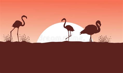 Flamingo At Sunset Scene Silhouettes Stock Vector Illustration Of