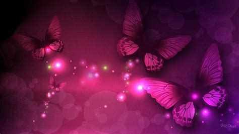 31 Pink Butterfly Wallpapers Wallpaperboat