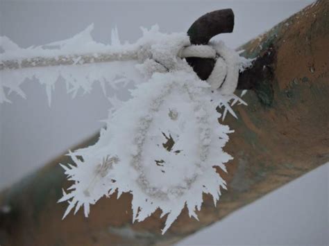 Winter Wonderland Hoar Frost Vs Rime Ice Weather Blog