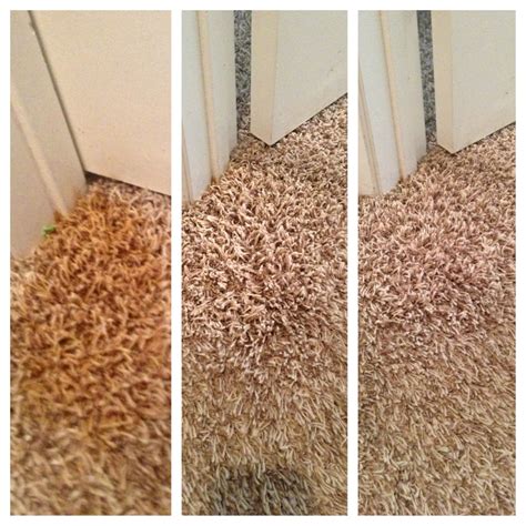 Providing a unique opportunity to clean the inside and outside of your car, following are some tips on how to clean your car with baking soda Remove Carpet Stains: 1 tablespoon baking soda 1 ...