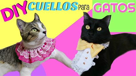 Cómo Hacer Collares Para Gatos Fácil Y Rápido Youtube