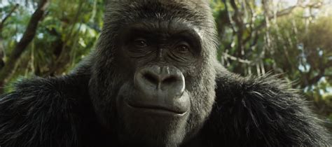 A gorilla named ivan tries to piece together his past with the help of an elephant named ruby as they hatch a plan to escape from captivity. The One and Only Ivan (2020) Photo in 2020 | One and only ...