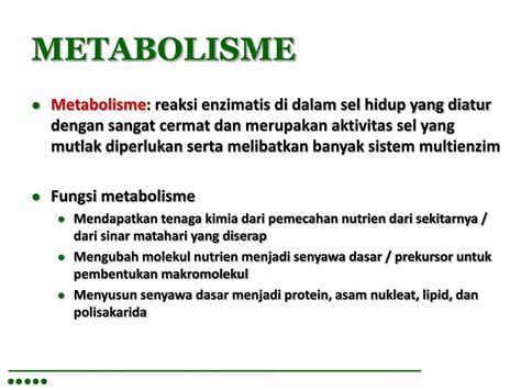 Ppt Jalur Metabolisme Powerpoint Presentation Free Download Id1895991