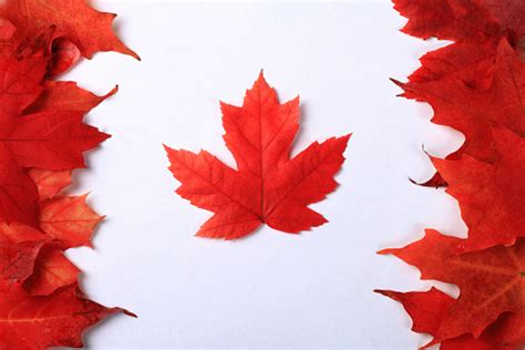 Maple Leaf Canada Flag Stock Photo Download Image Now Istock